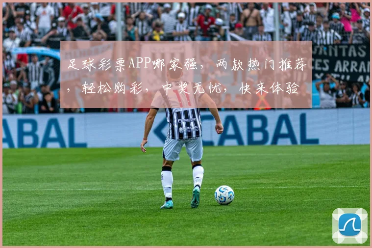 足球彩票APP哪家强，两款热门推荐，轻松购彩，中奖无忧，快来体验