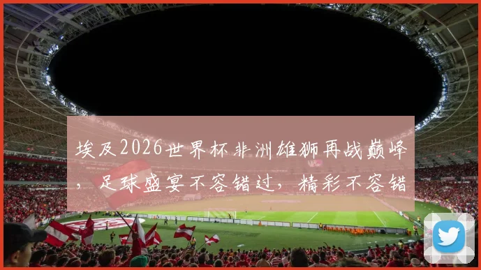 埃及2026世界杯非洲雄狮再战巅峰，足球盛宴不容错过，精彩不容错过