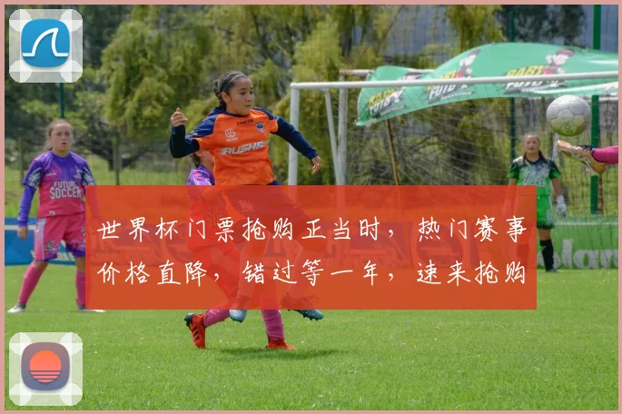 世界杯门票抢购正当时，热门赛事价格直降，错过等一年，速来抢购