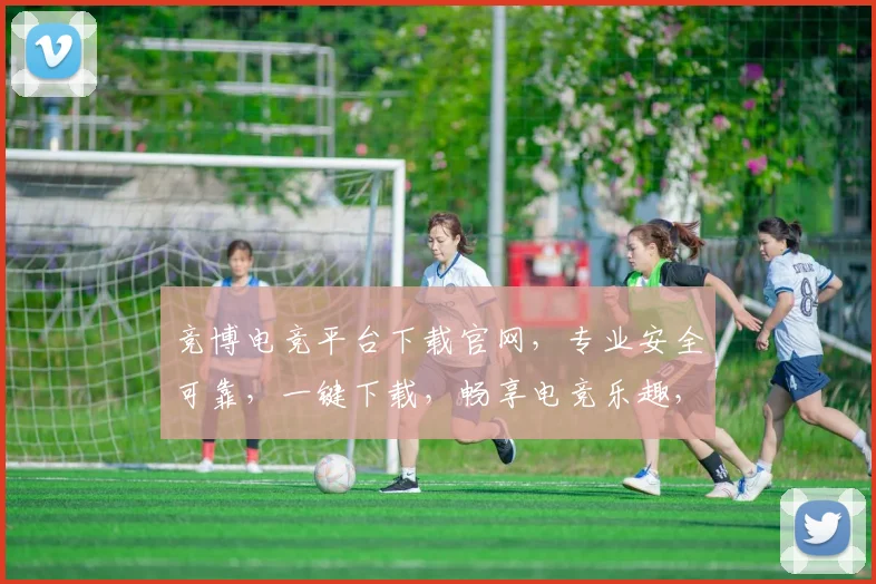 竞博电竞平台下载官网，专业安全可靠，一键下载，畅享电竞乐趣，三步轻松入驻