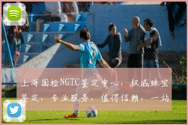 上海国检NGTC鉴定中心，权威珠宝鉴定，专业服务，值得信赖，一站式解决方案。