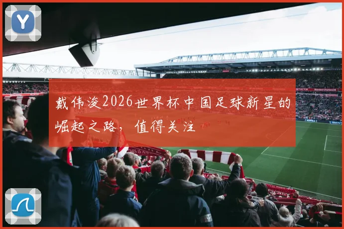 戴伟浚2026世界杯中国足球新星的崛起之路，值得关注